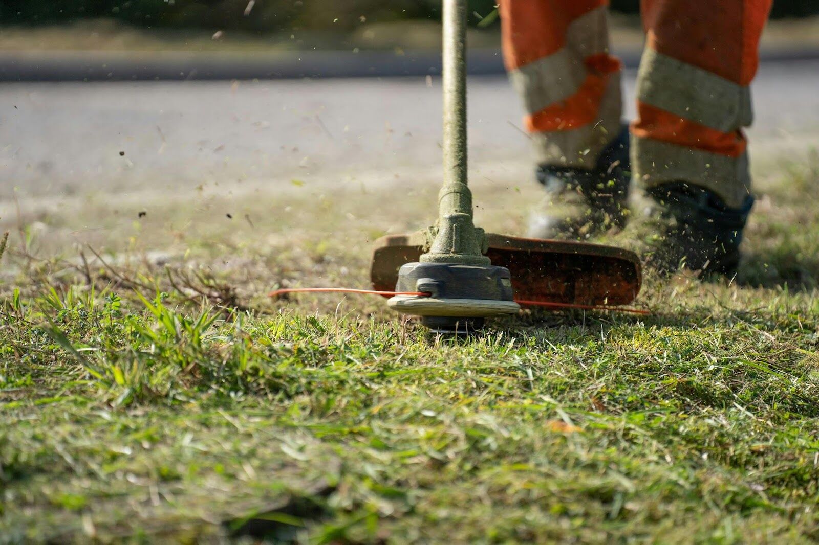 How to Keep Weeds at Bay: Tips for a Weed-Free Lawn